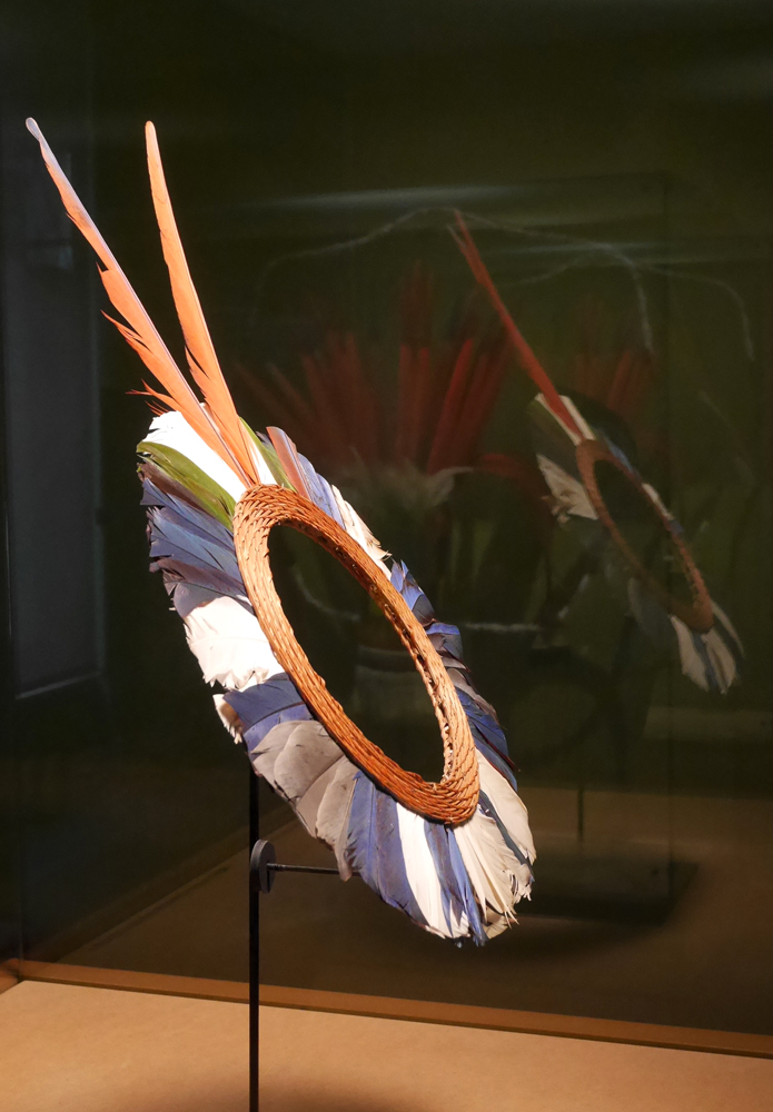 Expo au Musée des Arts d'Afrique et d'Asie - 2026