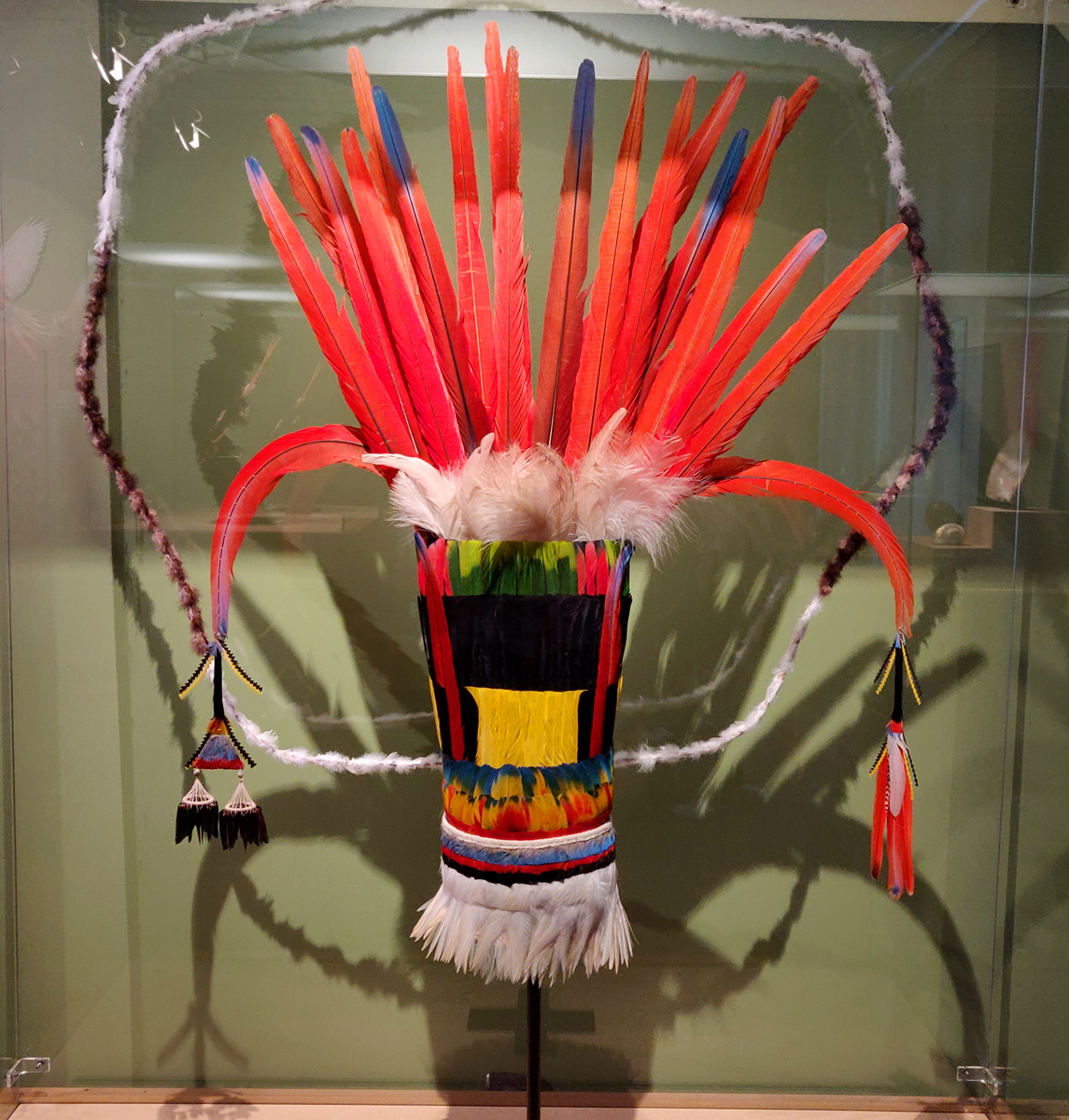 Expo au Musée des Arts d'Afrique et d'Asie - 2026
