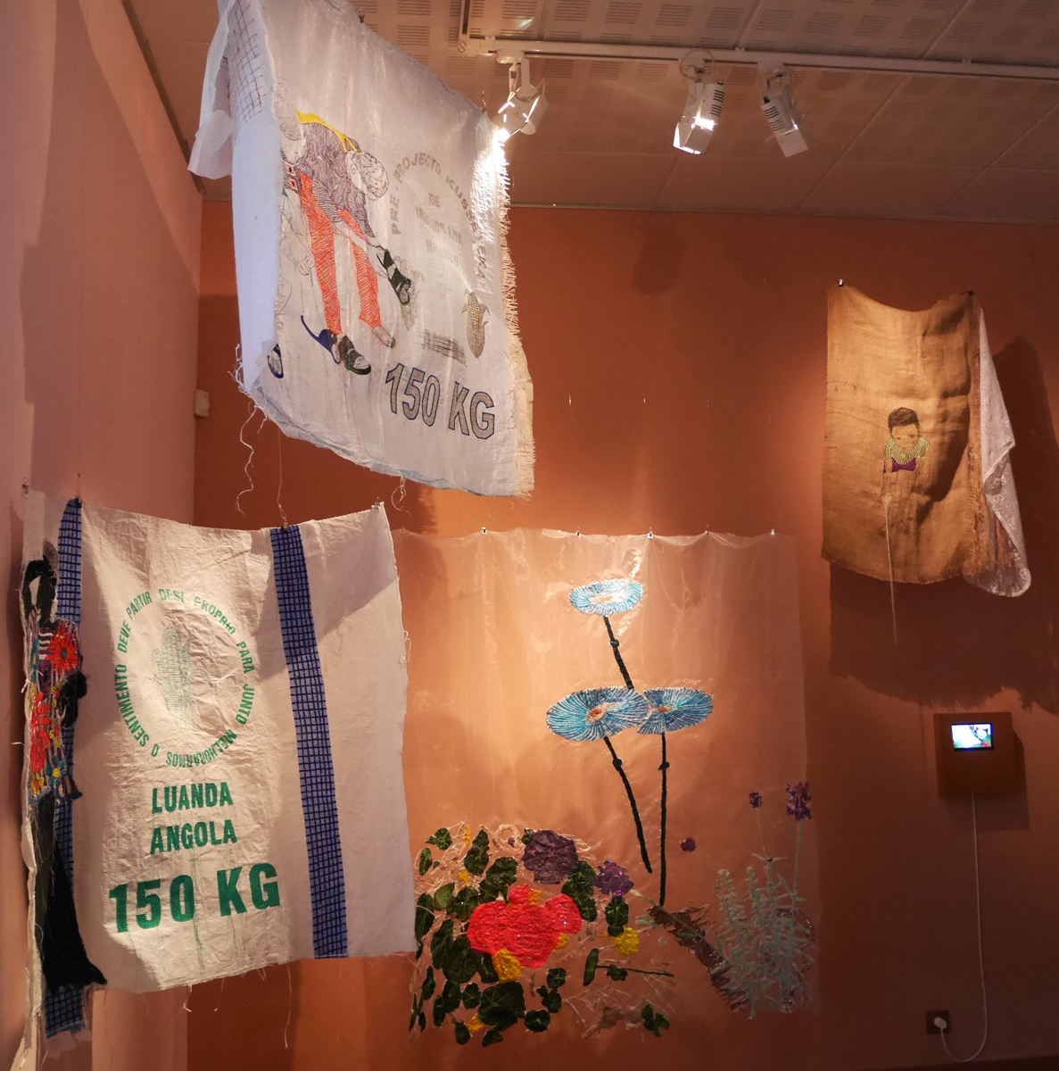 Expo au Musée des Arts d'Afrique et d'Asie - 2026