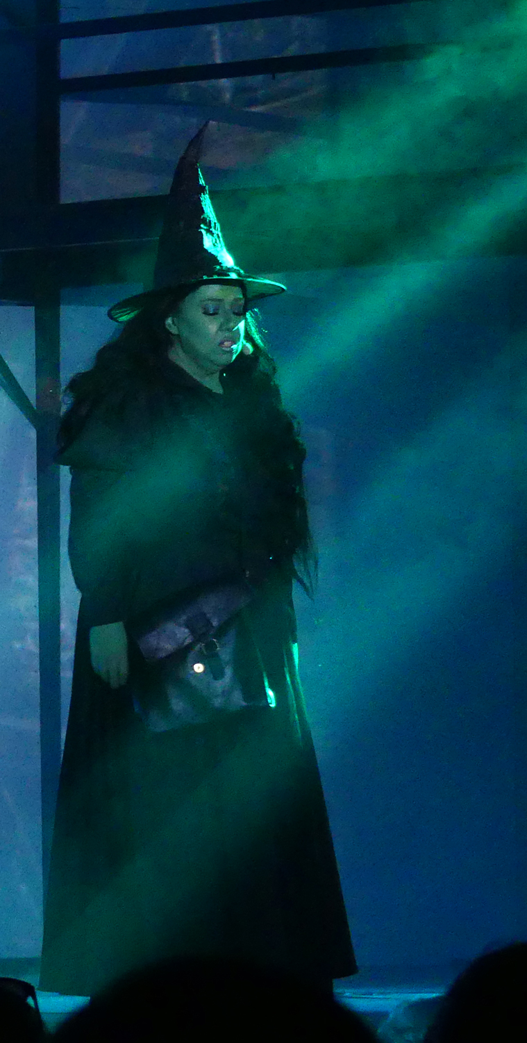 Sur un air de Wicked, la comédie musicale de Sanssat