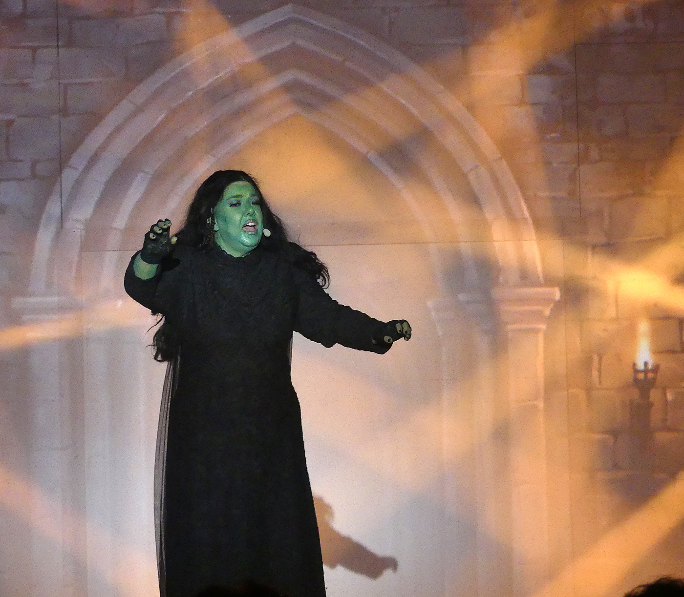 Sur un air de Wicked, la comédie musicale de Sanssat